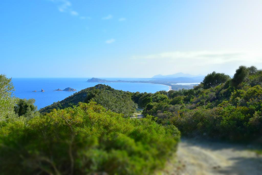 Appartamenti Da Vincenza Santa Maria Navarrese Εξωτερικό φωτογραφία