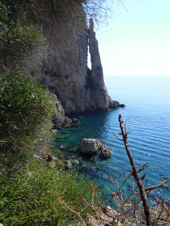 Appartamenti Da Vincenza Santa Maria Navarrese Εξωτερικό φωτογραφία