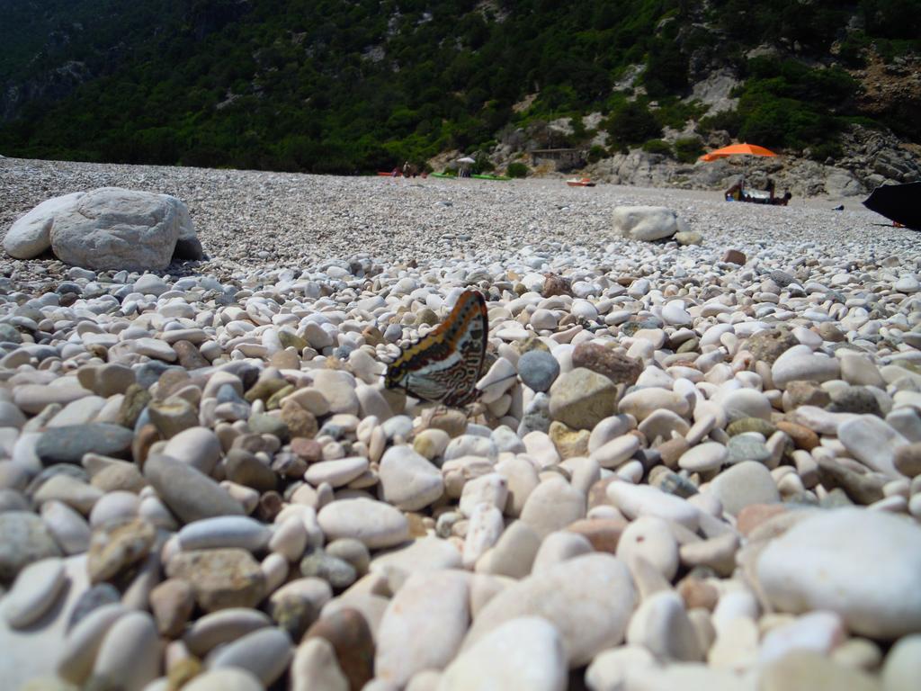Appartamenti Da Vincenza Santa Maria Navarrese Εξωτερικό φωτογραφία