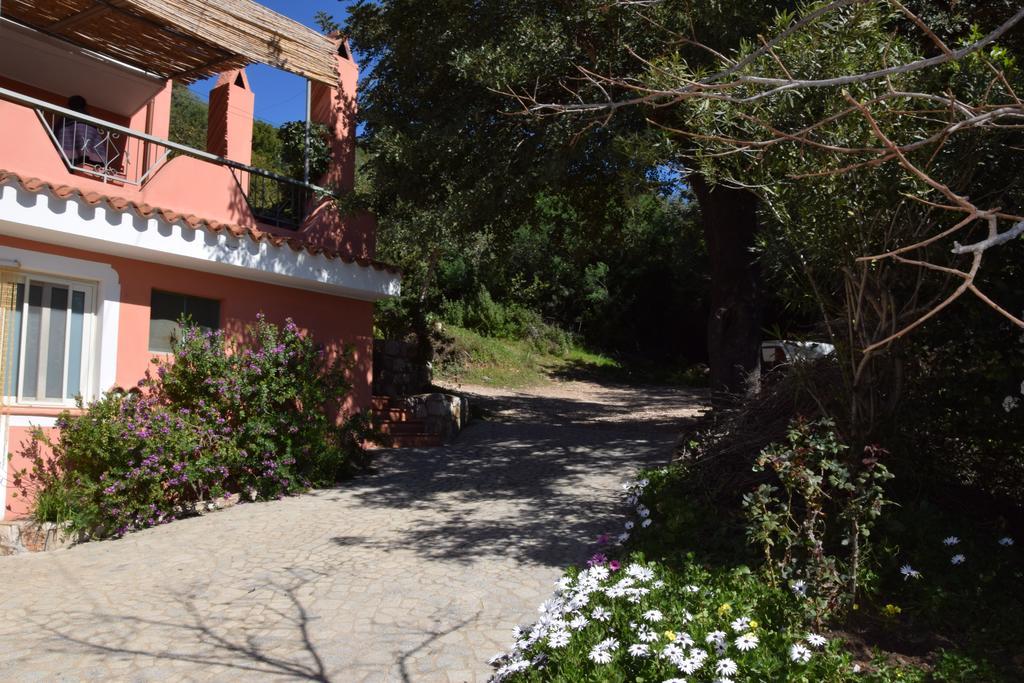 Appartamenti Da Vincenza Santa Maria Navarrese Εξωτερικό φωτογραφία