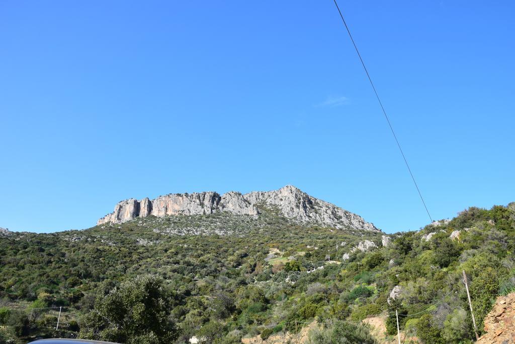 Appartamenti Da Vincenza Santa Maria Navarrese Εξωτερικό φωτογραφία