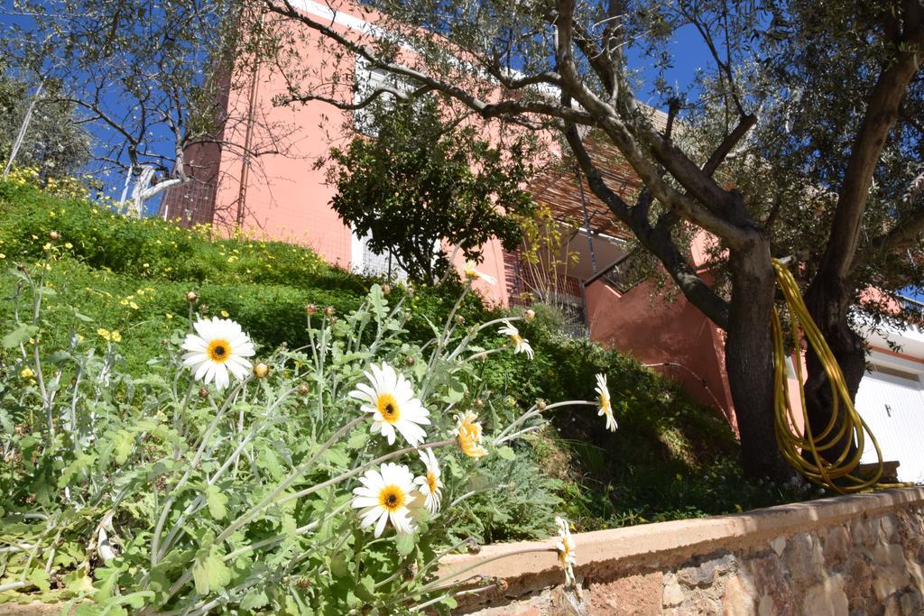 Appartamenti Da Vincenza Santa Maria Navarrese Εξωτερικό φωτογραφία