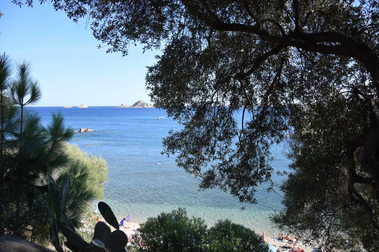 Appartamenti Da Vincenza Santa Maria Navarrese Εξωτερικό φωτογραφία